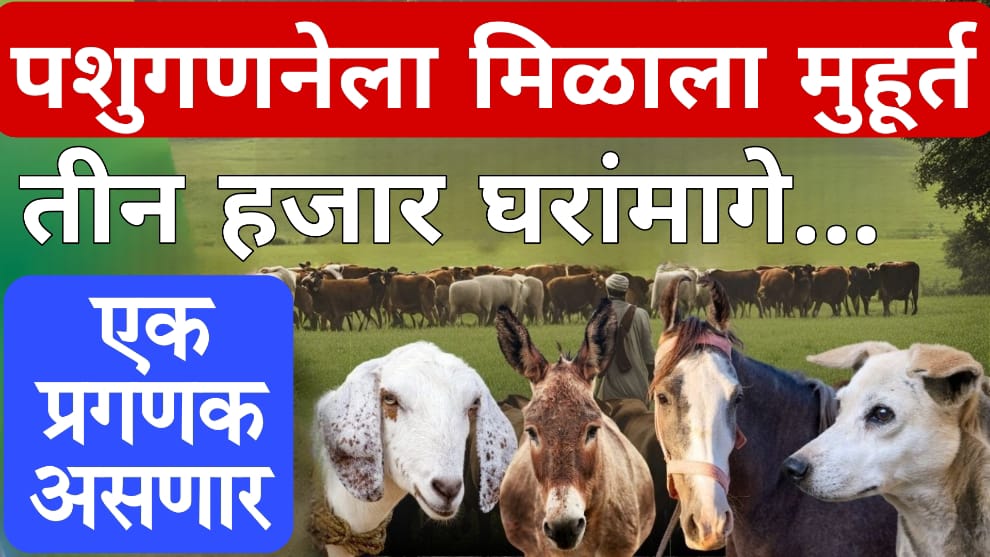 Livestock Census