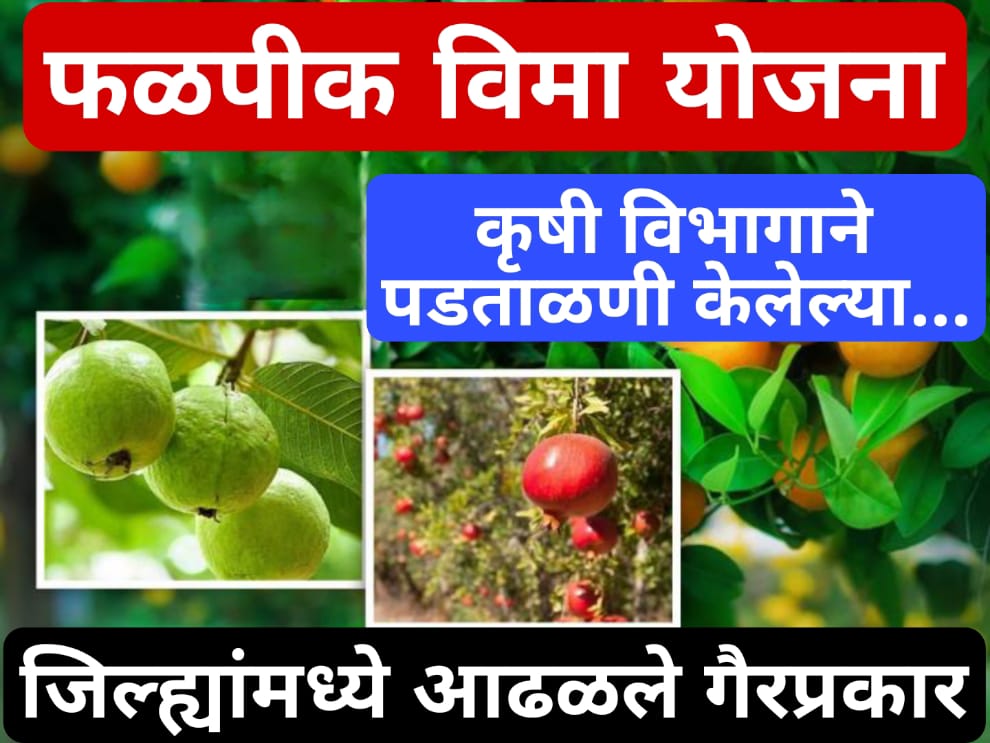 ysr crop insurance status