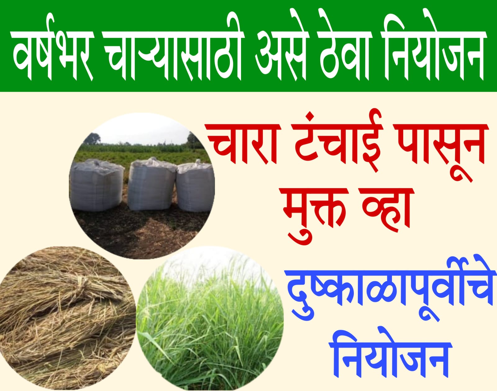 Fodder Shortage