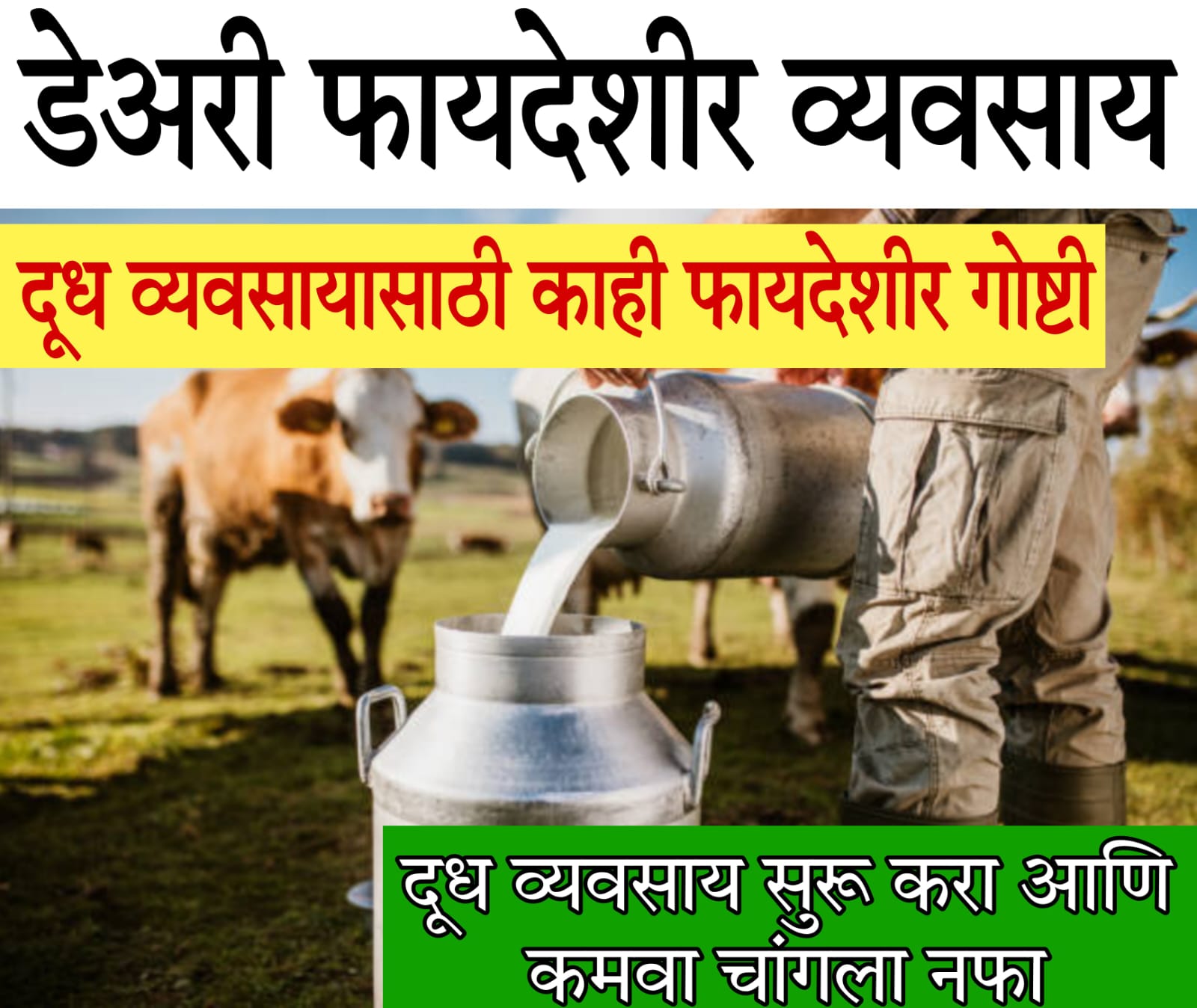 dairy farm business​