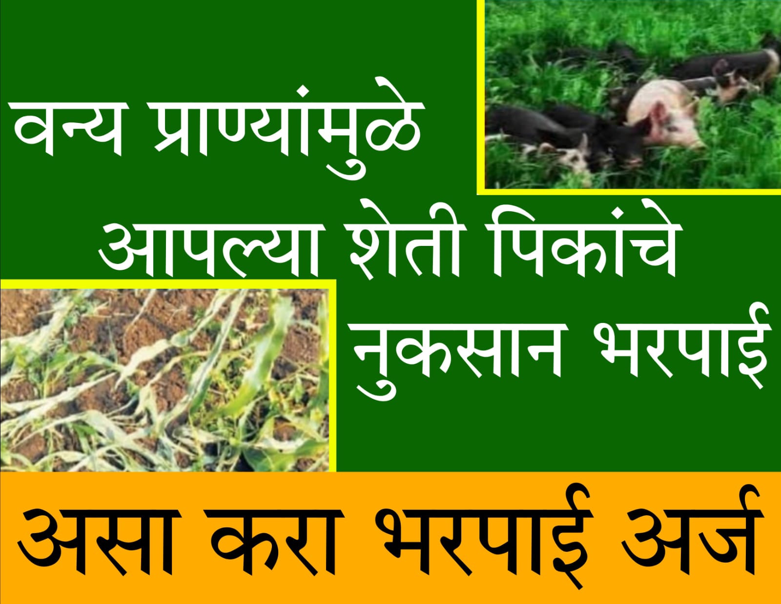 ysr crop insurance status