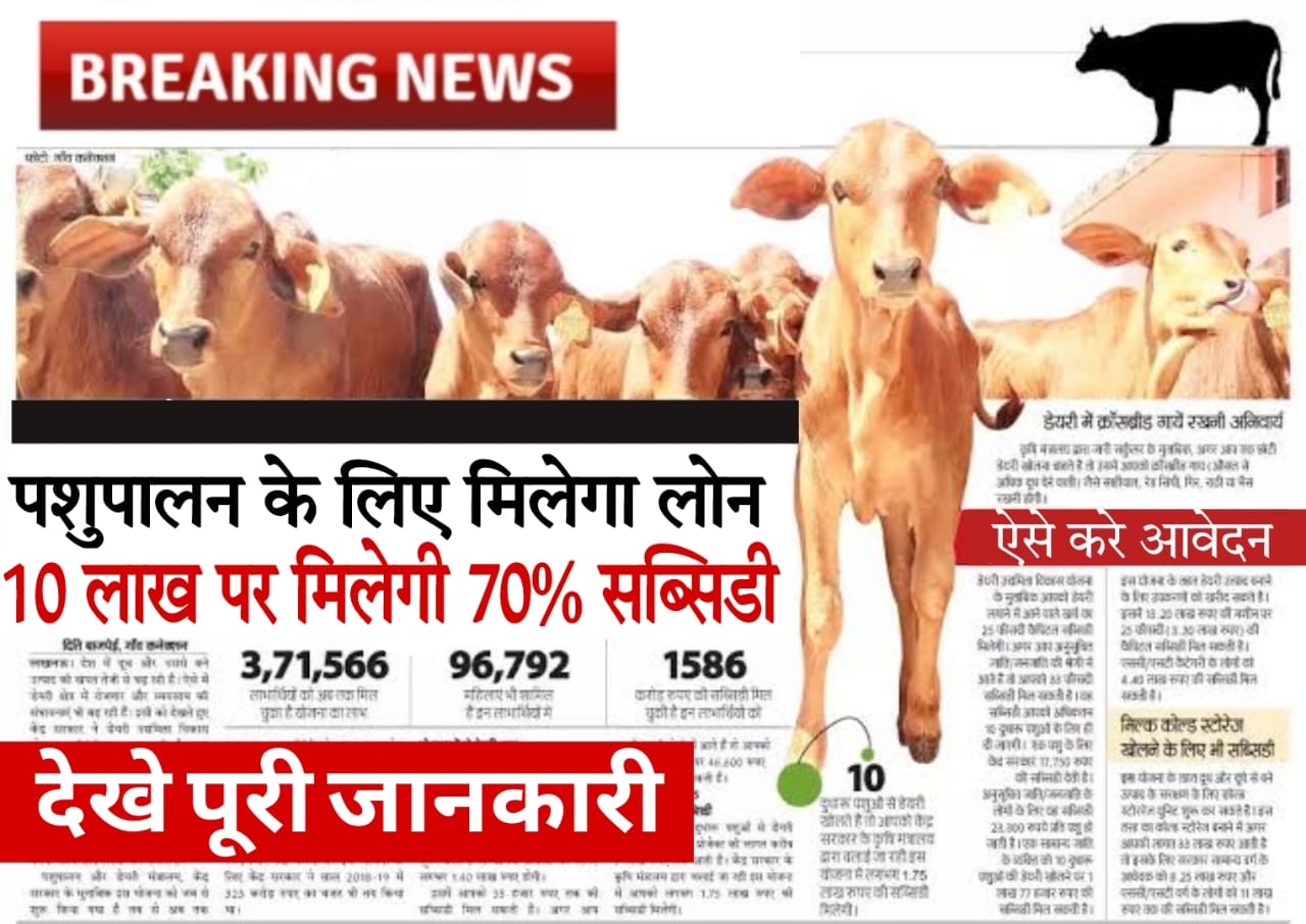 dairy farm loan scheme​