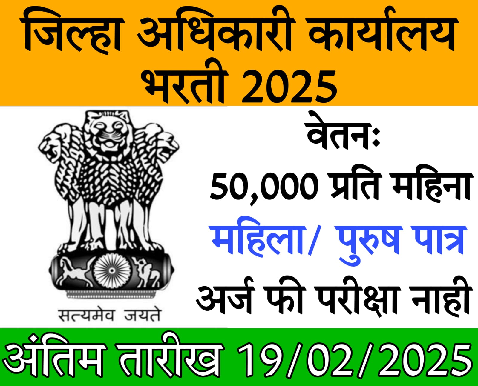 District Collector Office Job