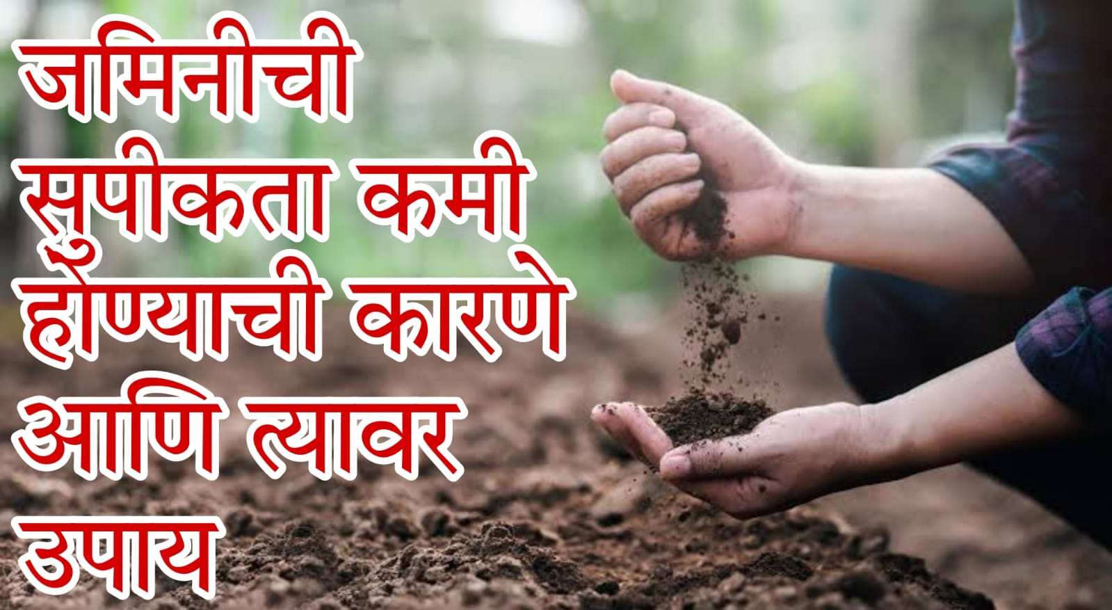 Soil Health