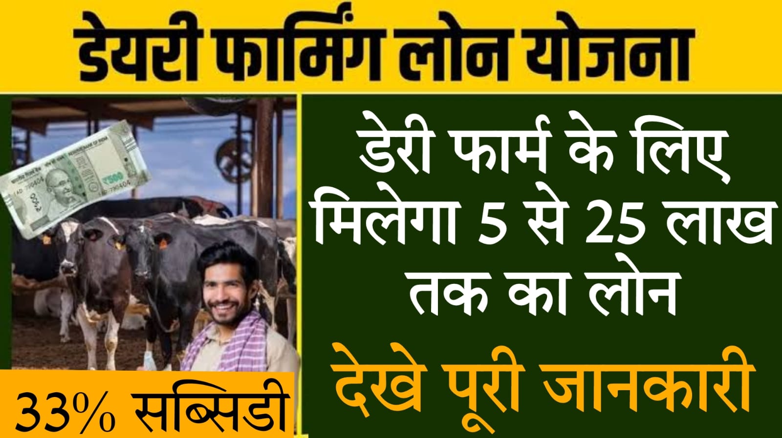 cow dairy farm loan​