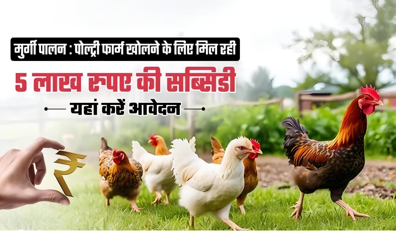 poultry farming project​