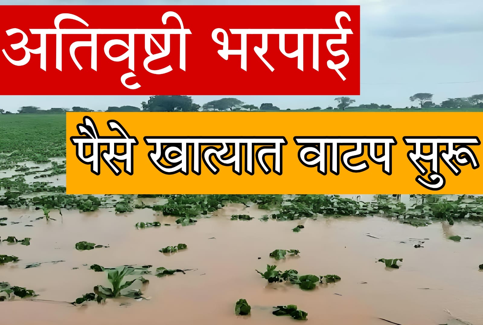 ysr crop insurance payment status​