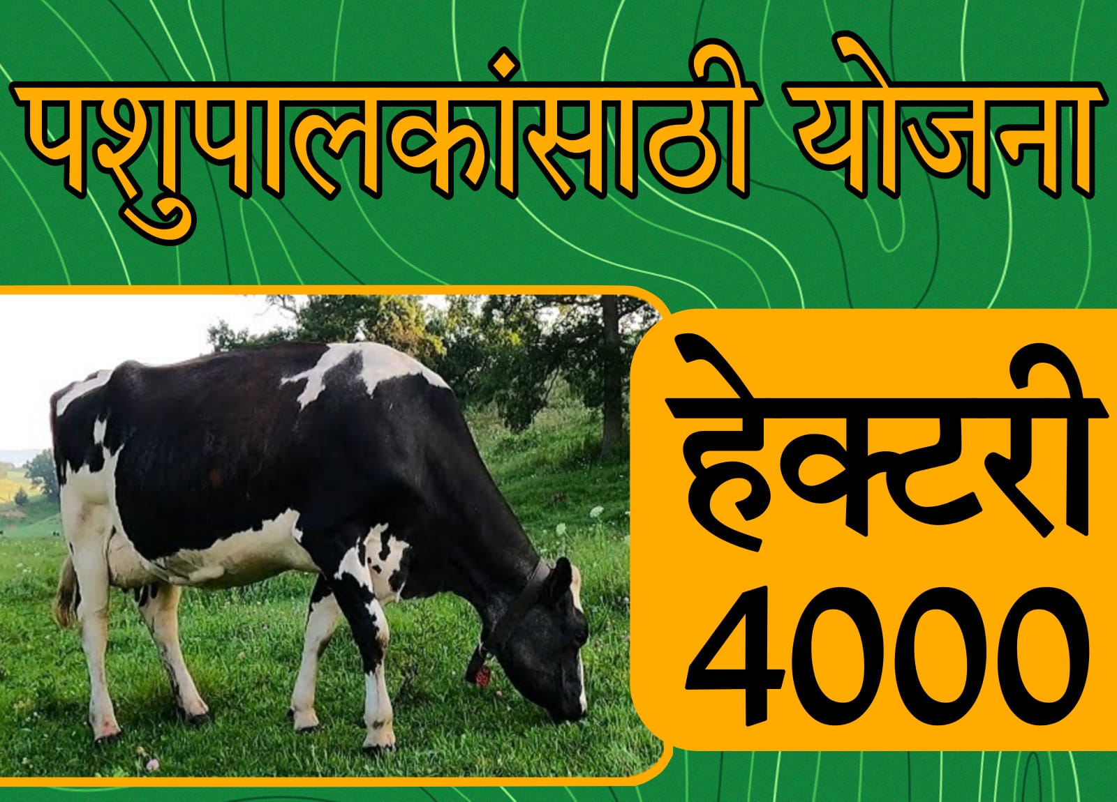 Pashupalan yojana GR