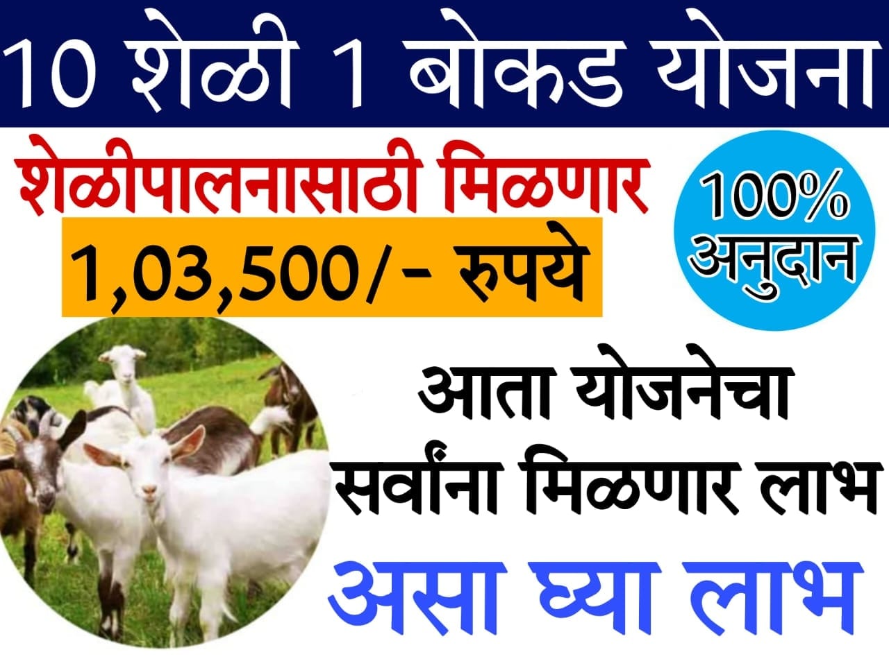 bakri palan loan