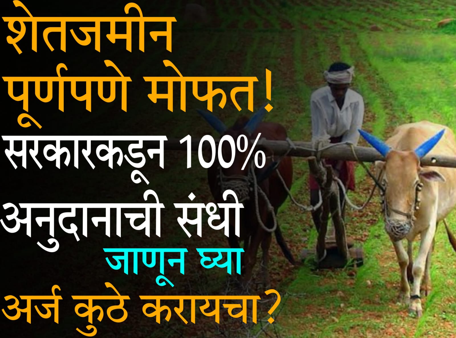 government free land scheme​