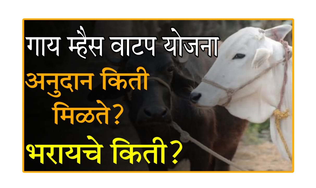 Gay Mhais Vatap Yojana Maharashtra