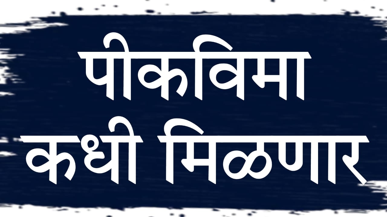 Maharashtra Pik Vima Update