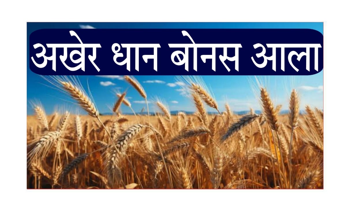 dhan bonus maharashtra 2025