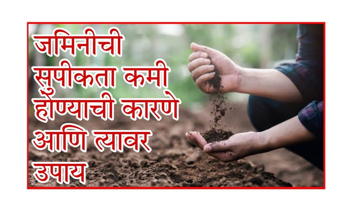 natural soil enrichment techniques