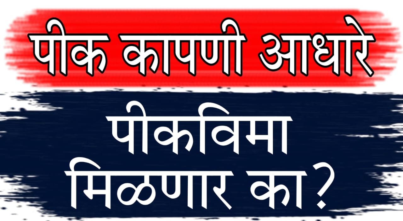 Pik Vima Sudharna 2025