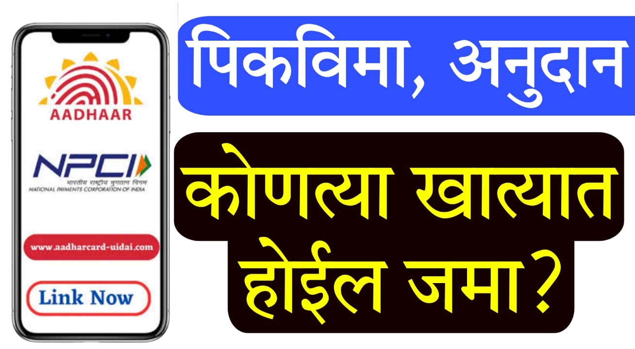 Shasan Anudan Status 2025