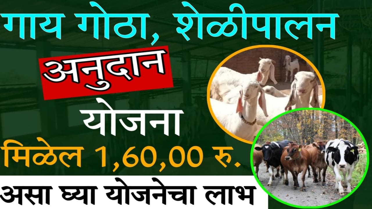 dairy farm loan