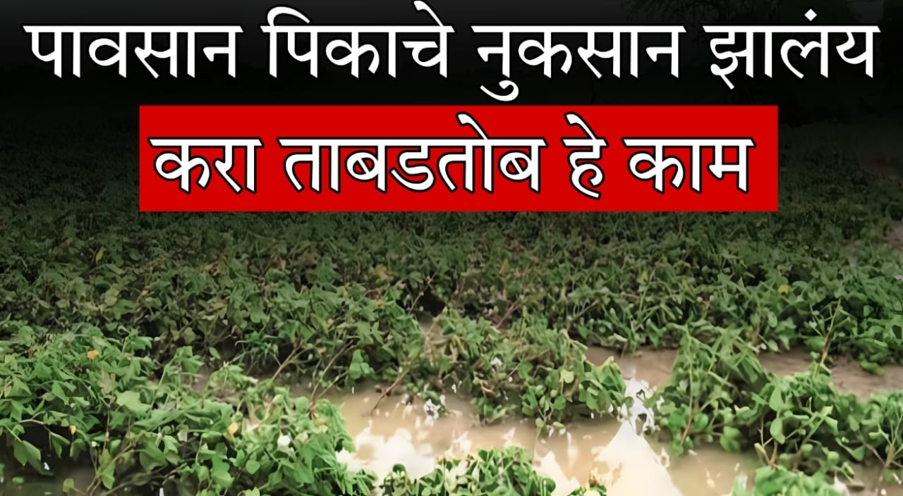 Kharif crops flood damage 2025