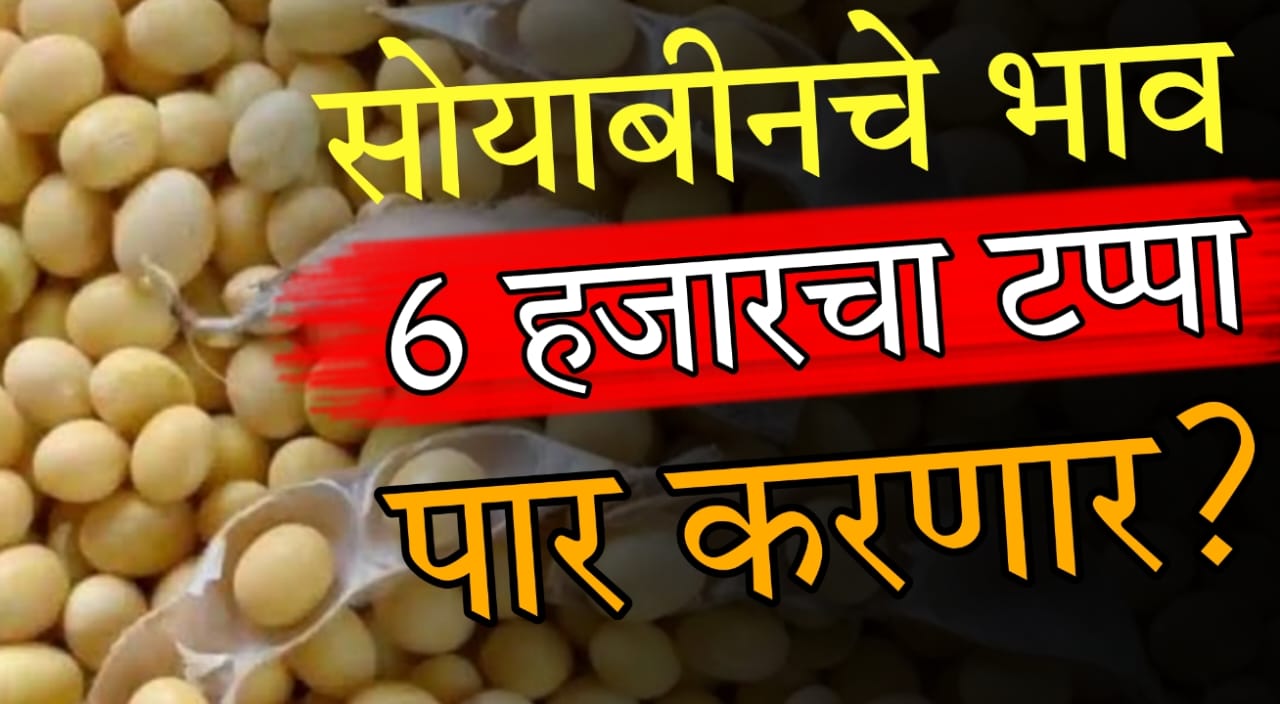 Soybean mandi price Maharashtra