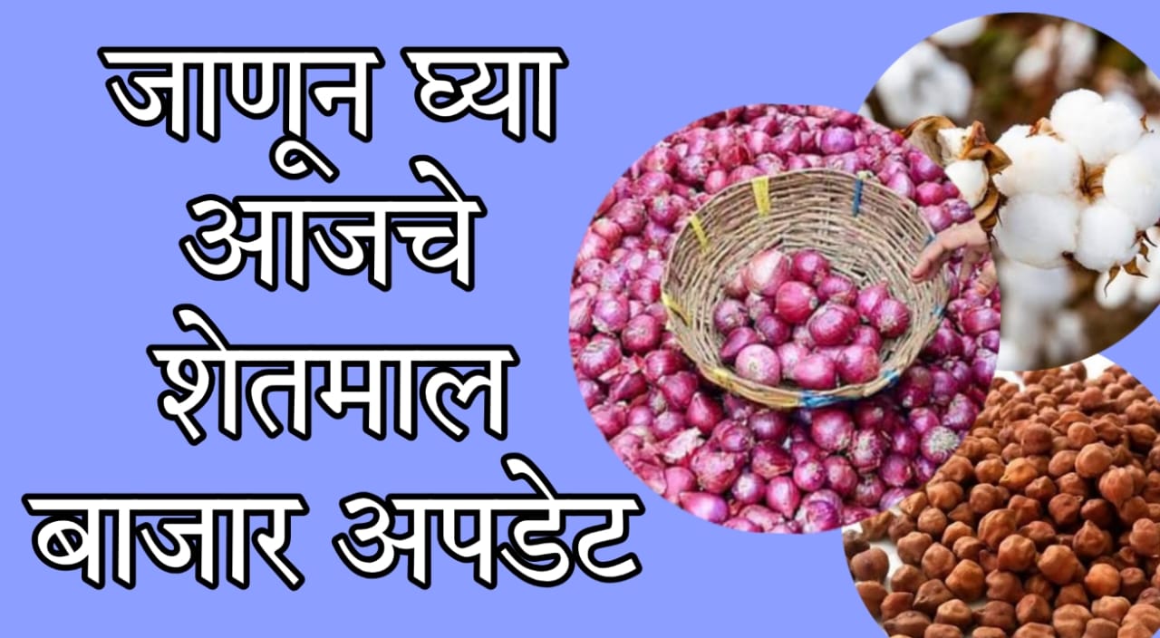 daily farm commodity rates India