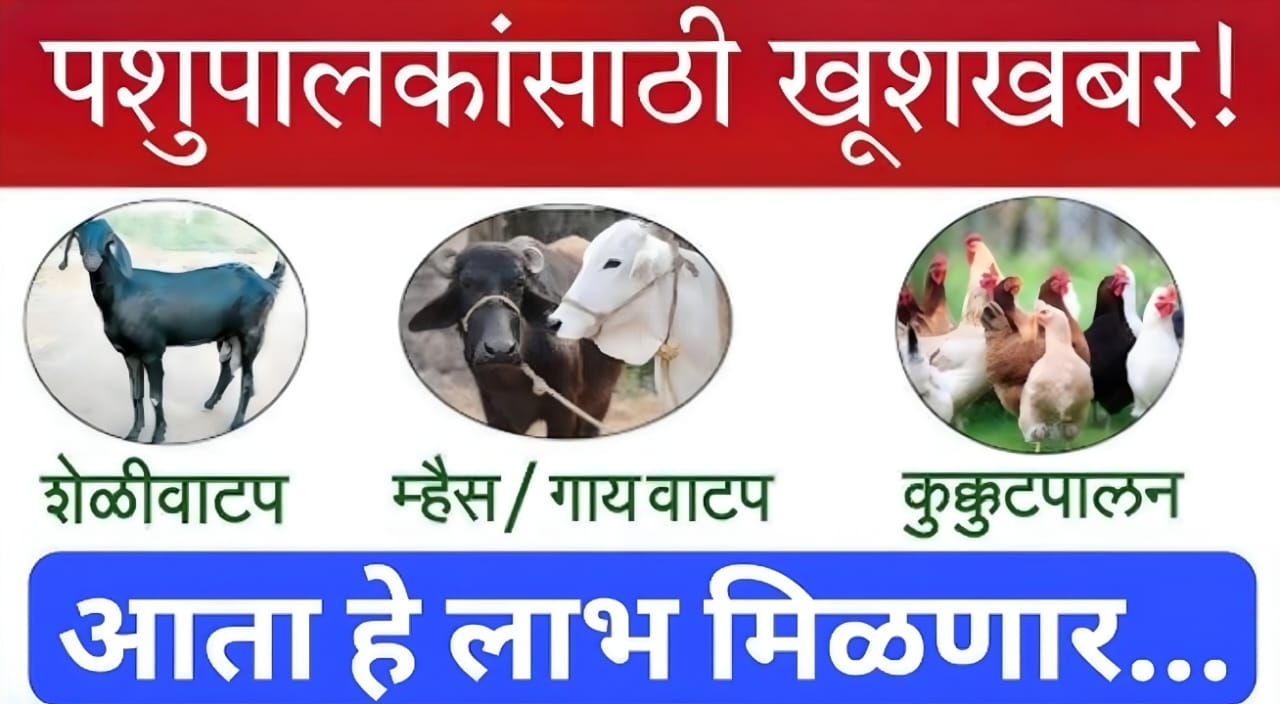 dairy farming schemes