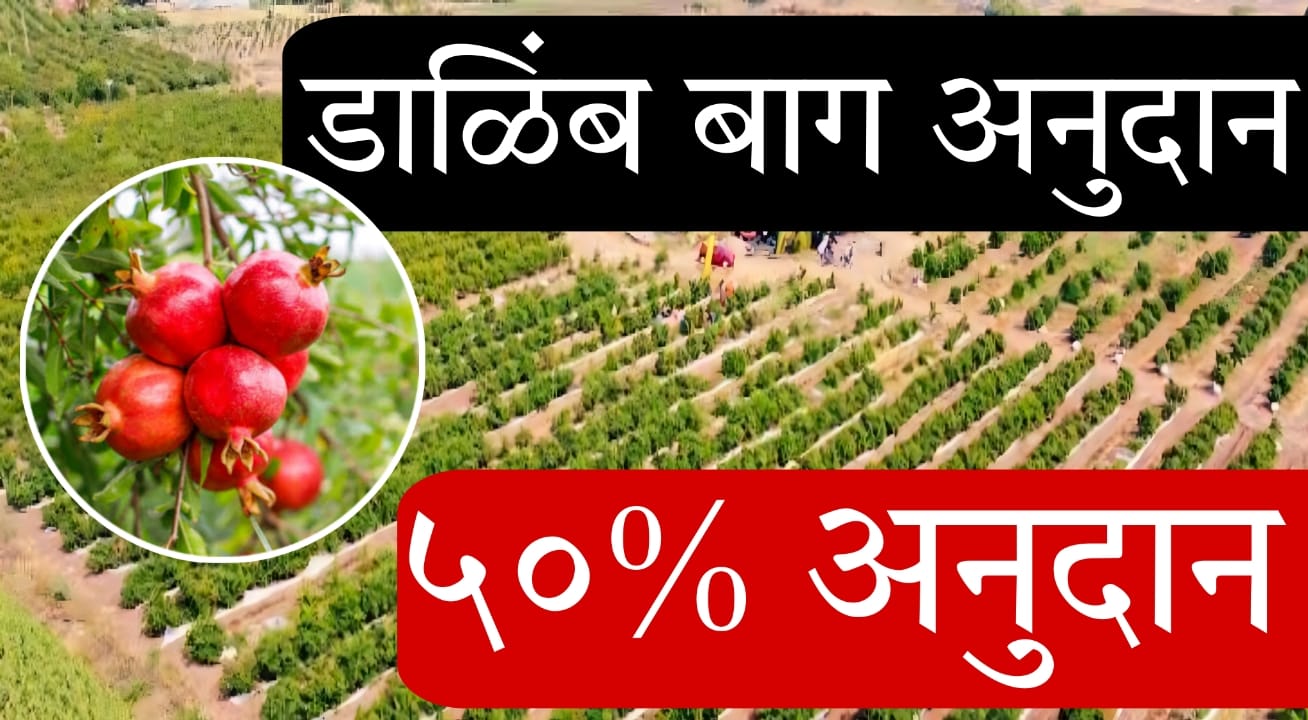 Anti Hail Net Scheme 2025 Maharashtra
