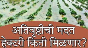 Maharashtra crop loss compensation 2025
