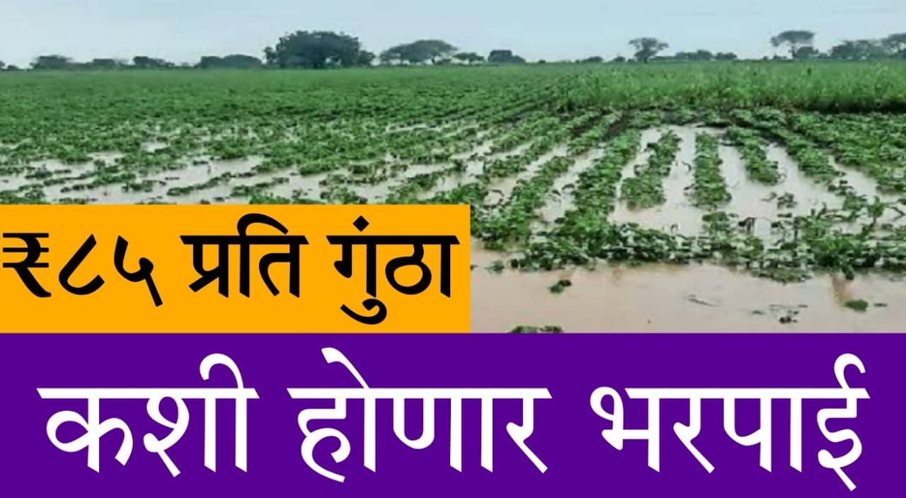 Maharashtra flood relief farmers
