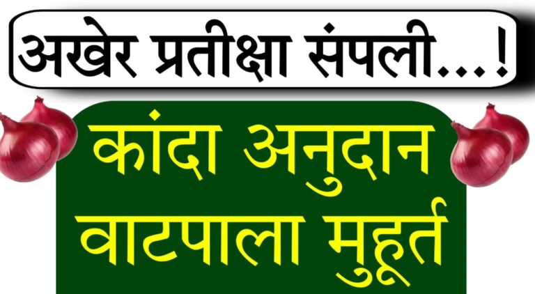 Onion subsidy scheme farmers update