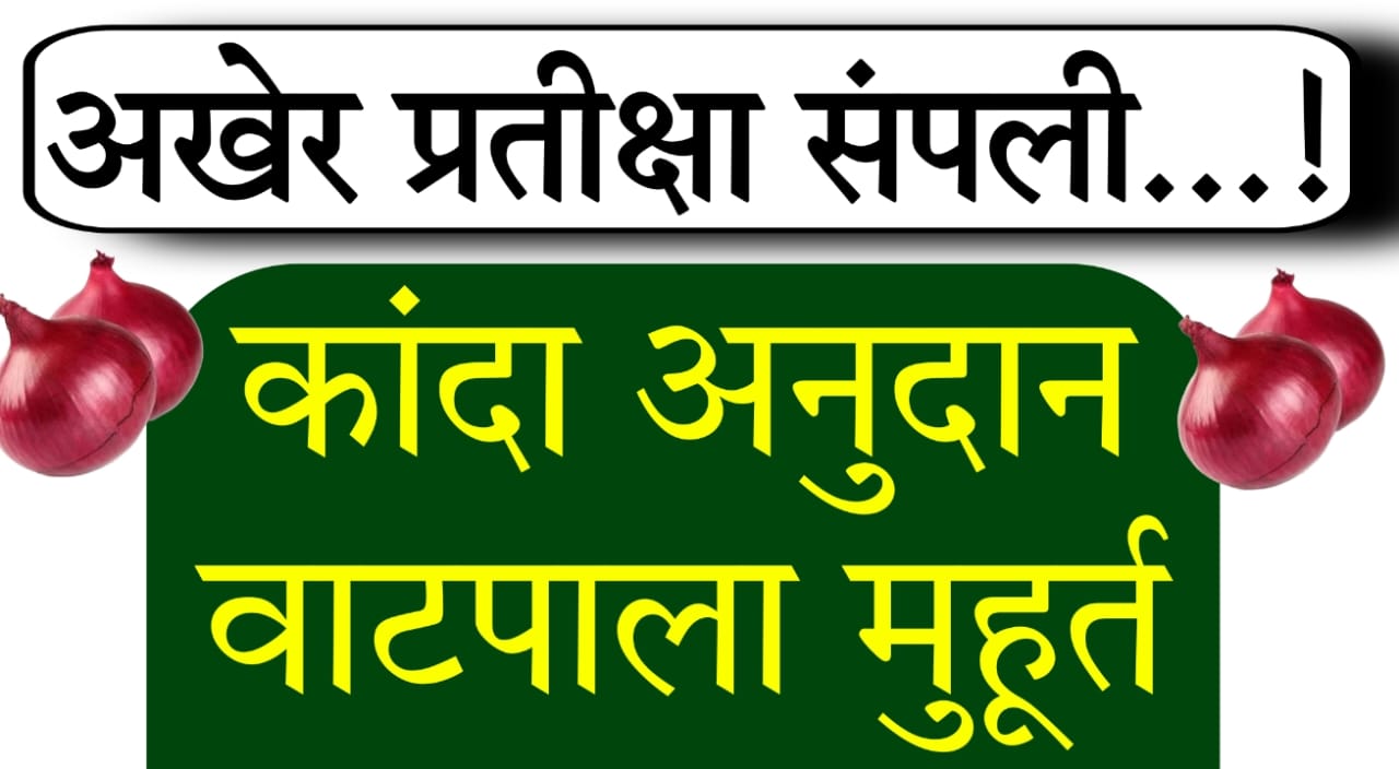 Onion subsidy scheme farmers update