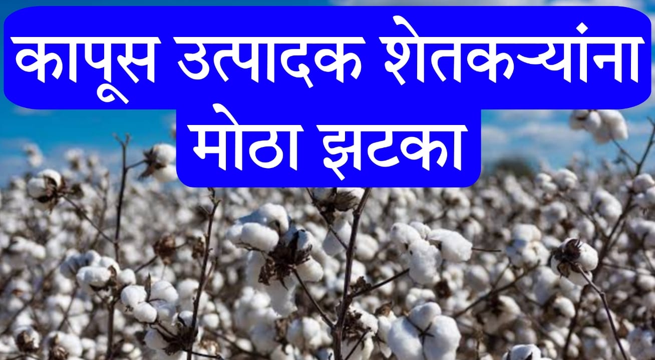 cotton import duty zero