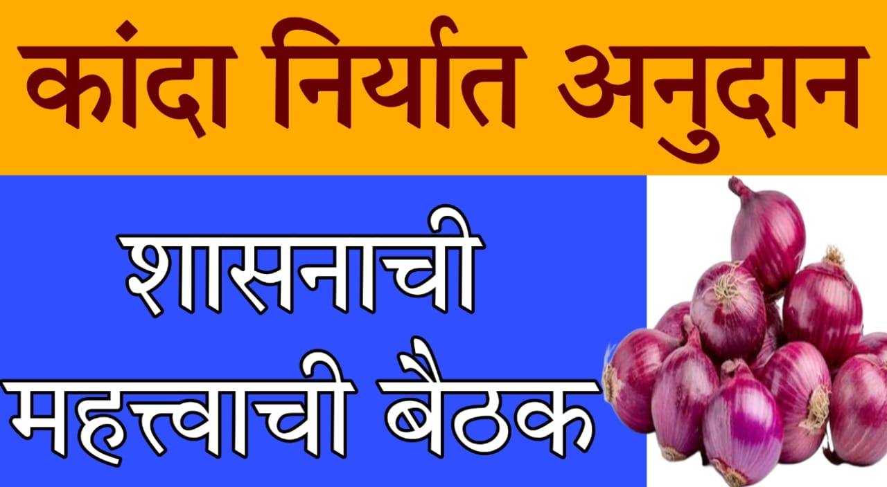 onion price crisis India 2025