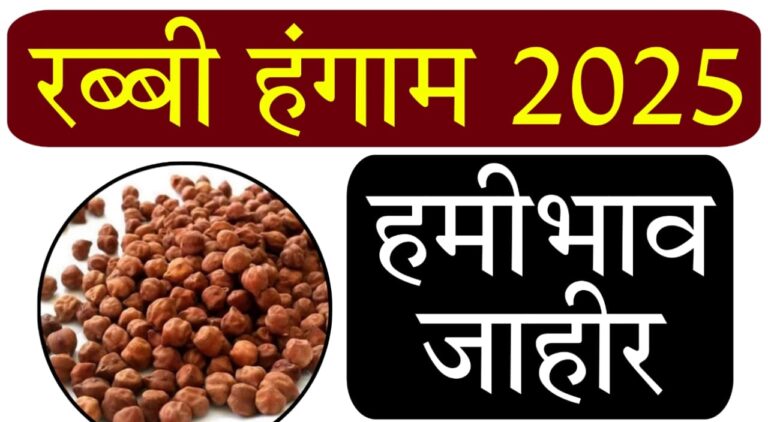MSP 2026 India