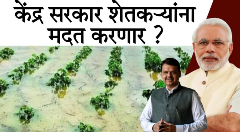 Maharashtra farmers heavy rain compensation