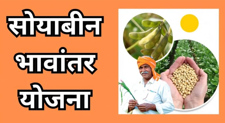 Soybean MSP scheme 2025 India