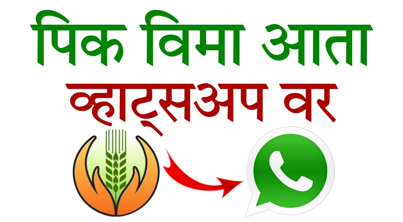 WhatsApp crop insurance guide