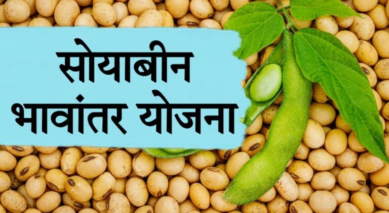 soybean MSP 2024 India