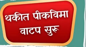 Kharif crop insurance 2024 Maharashtra