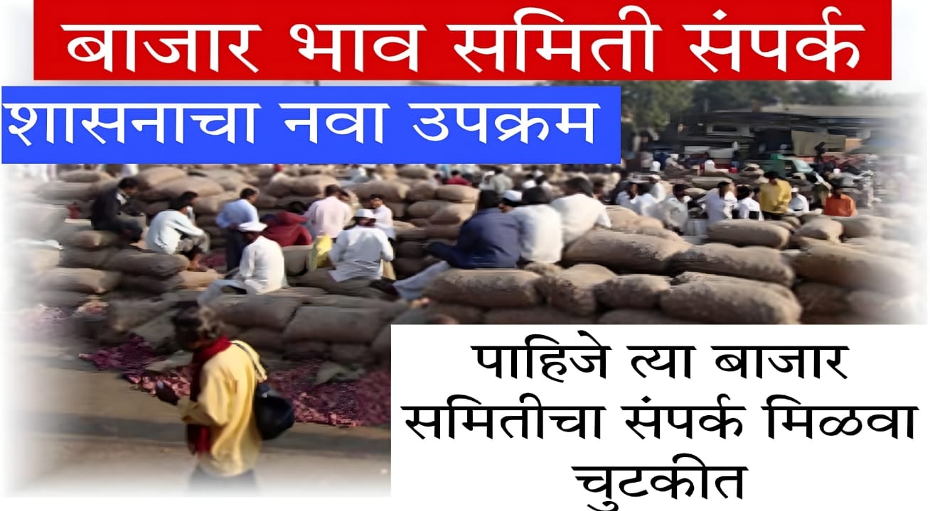 get APMC contact instantly