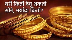 gold holding limit in India 2024